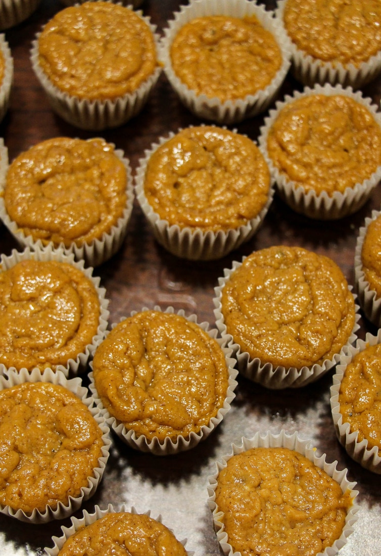 pumpkin pie cupcakes