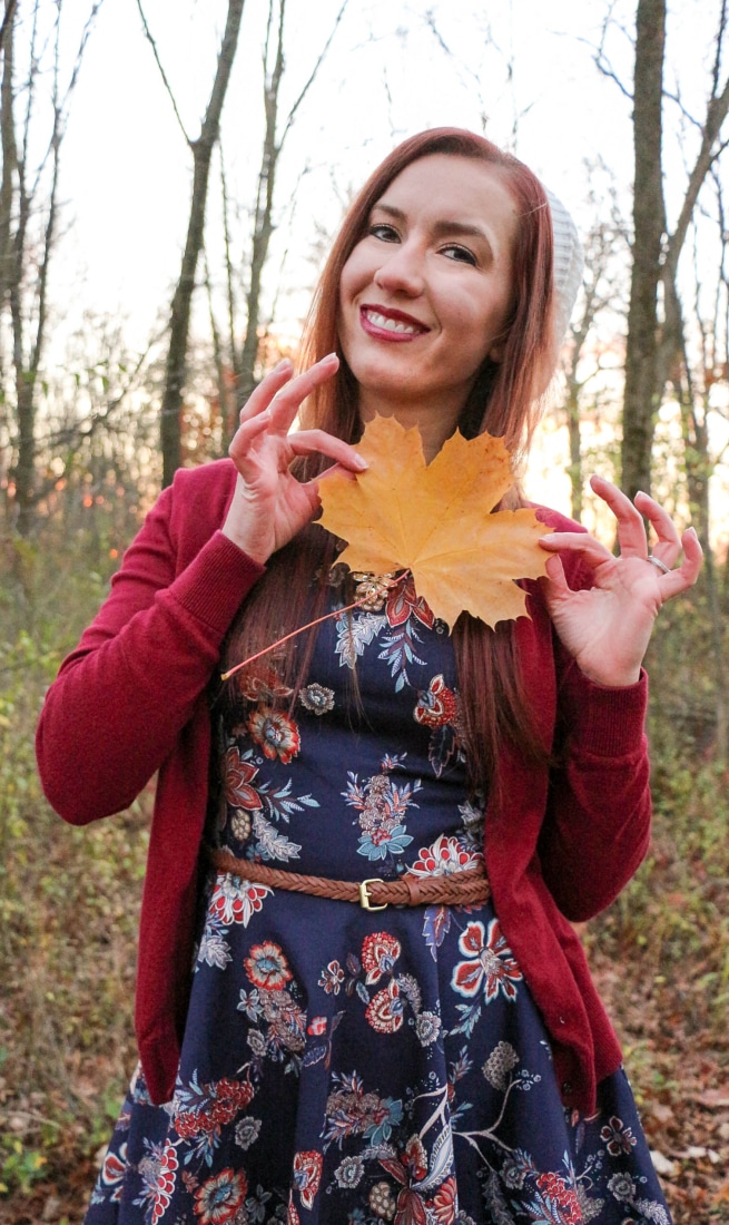 Closet skater dress closeup