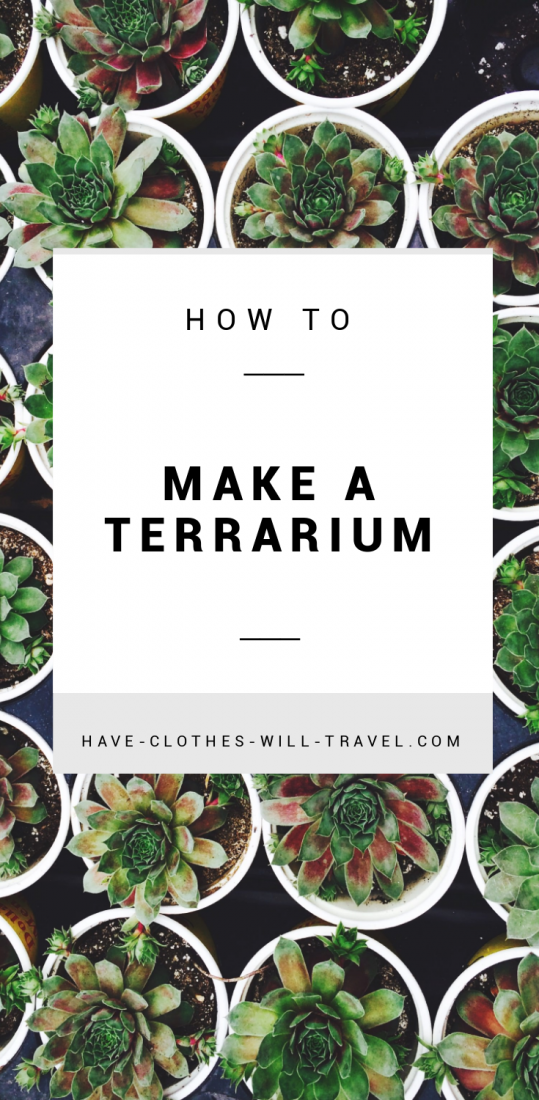 How to Make a Terrarium