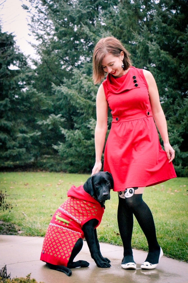 Dog Christmas sweater