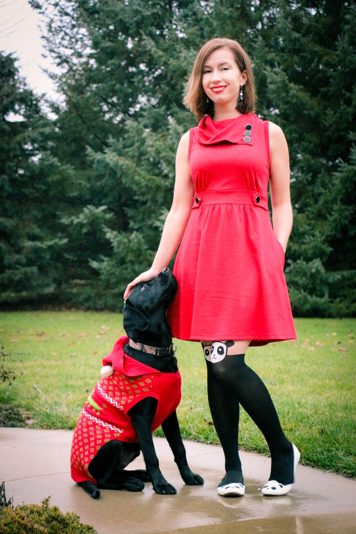 dog christmas sweater