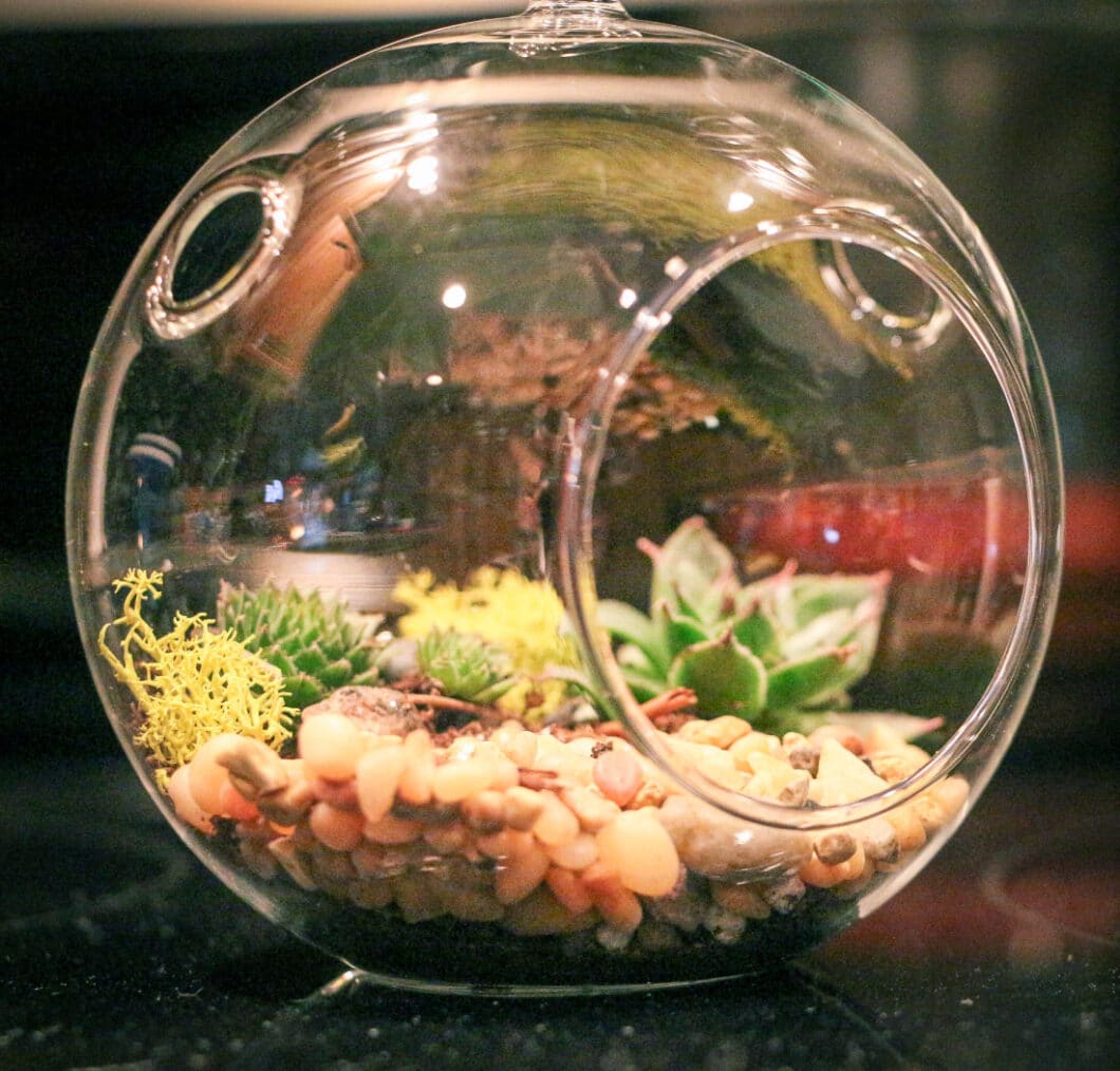 how to make terrarium