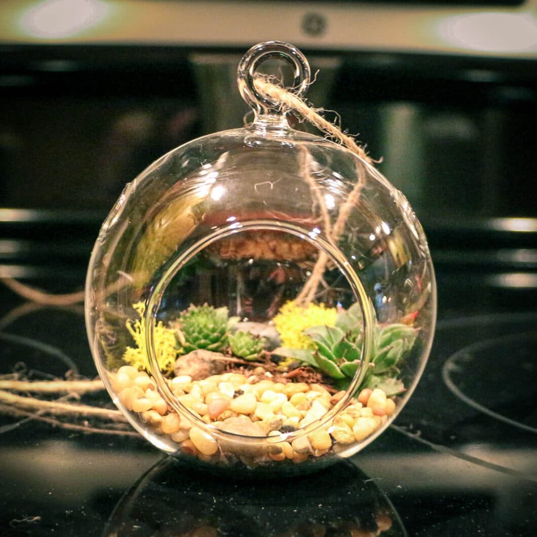 how to make a terrarium