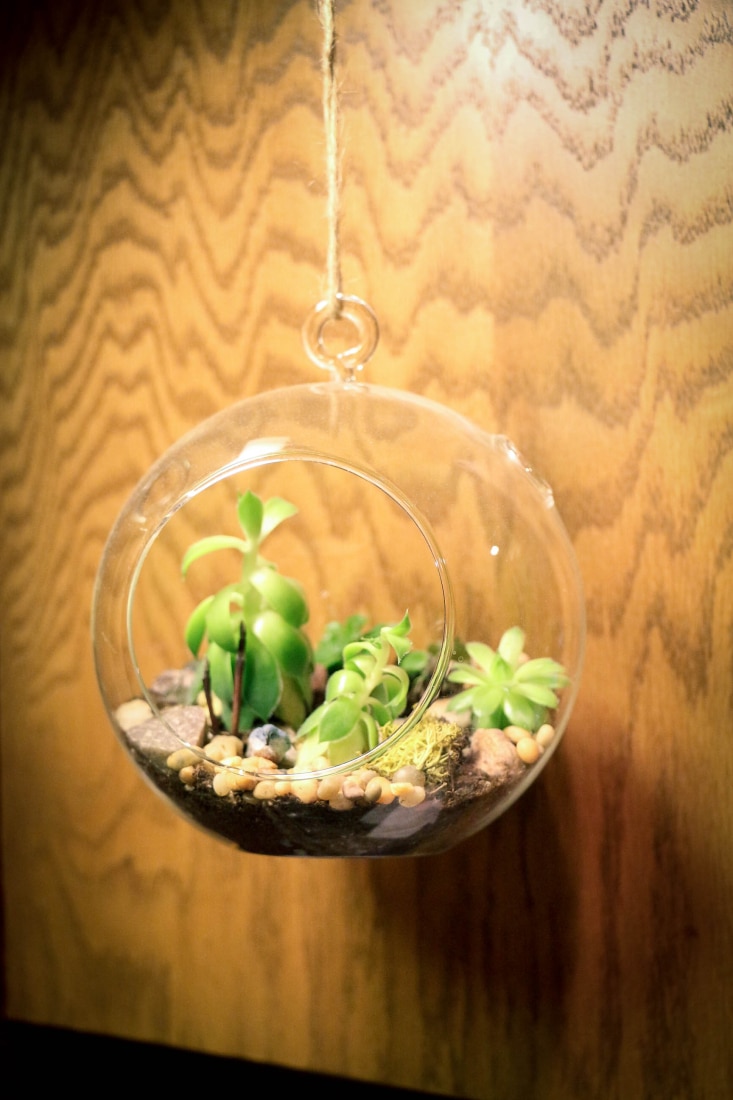 how to make a terrarium