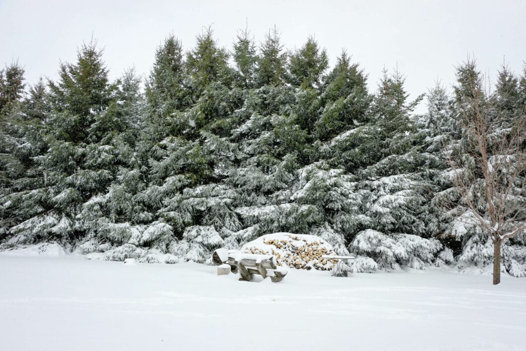 Spring snow in Wisconsin