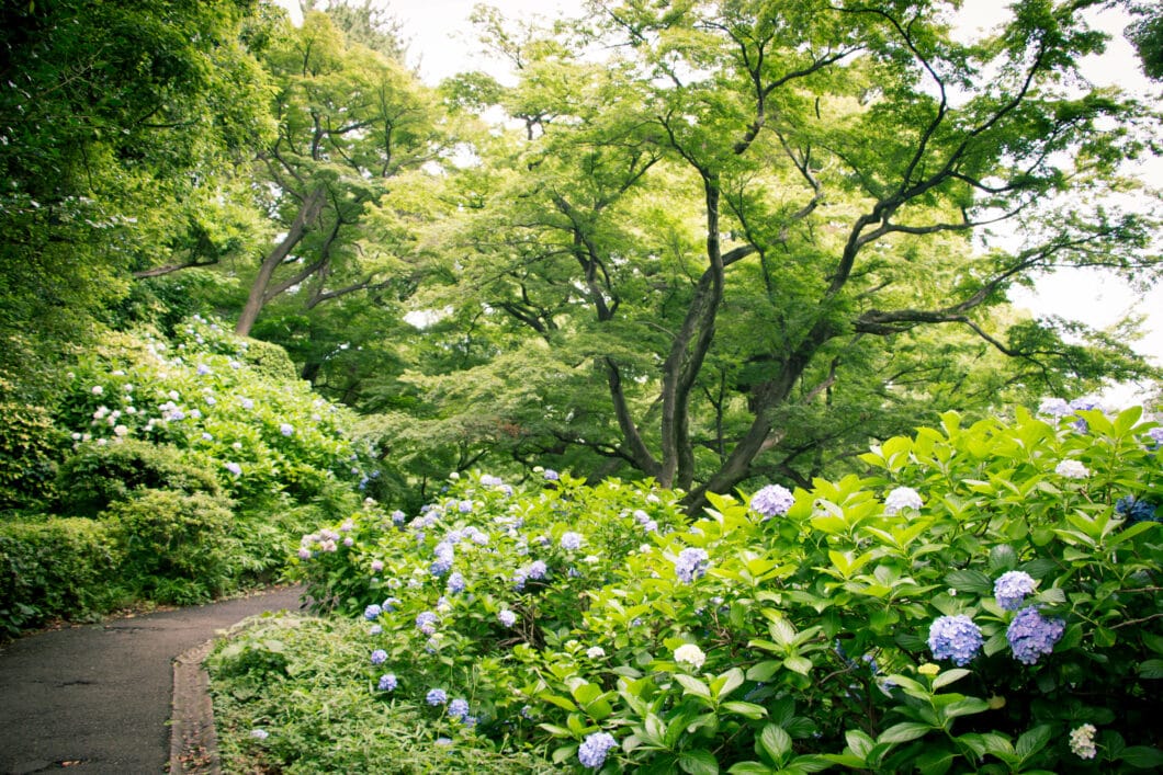 Imperial Palace East Gardens