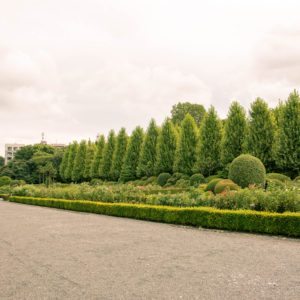 Shinjuku Gyoen