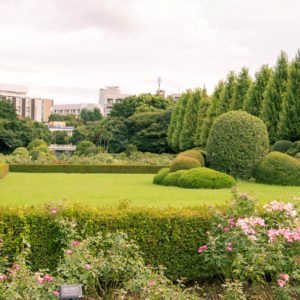 Shinjuku Gyoen