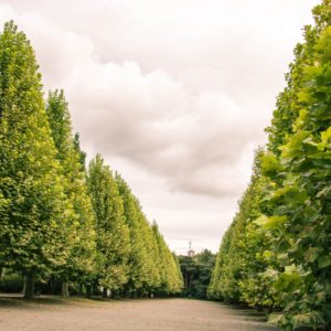 Shinjuku Gyoen