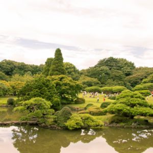 Shinjuku Gyoen National Garden