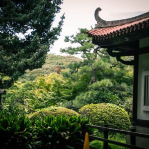 Shinjuku Gyoen