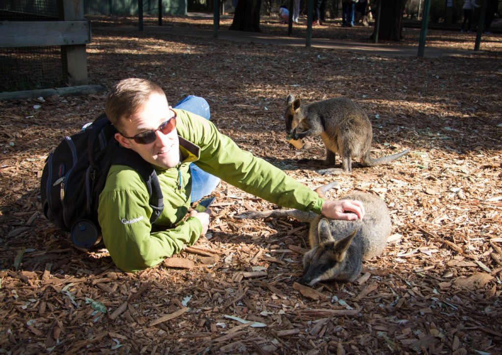 wallaby