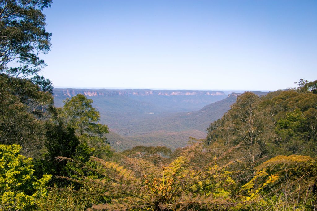 The Blue Mountains