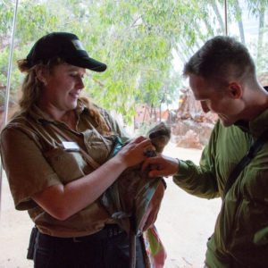 WILD LIFE SYDNEY ZOO