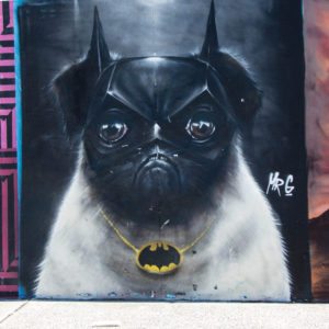 Batpug