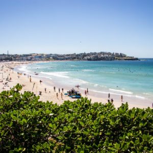 Bondi Beach