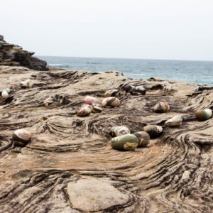 sculptures by the sea