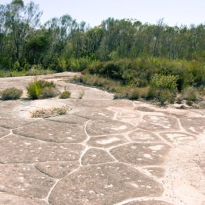 aboriginal engravings