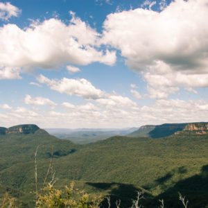 the blue mountains