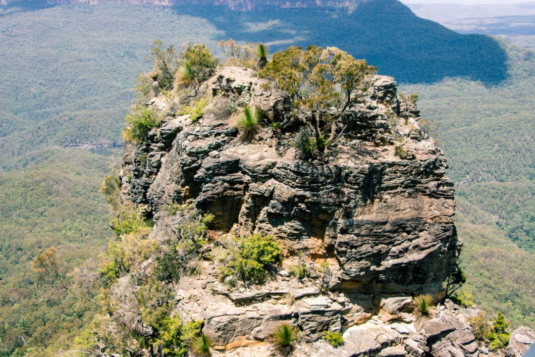 Bushwalks Outside of Sydney - Ku-ring-gai Chase National Park & The Blue Mountains