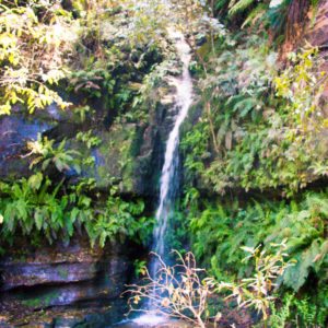 THE BLUE MOUNTAINS