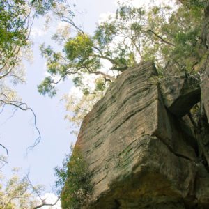 THE BLUE MOUNTAINS