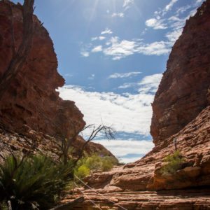 Kings Canyon