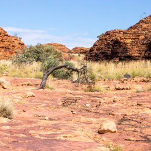 Kings Canyon