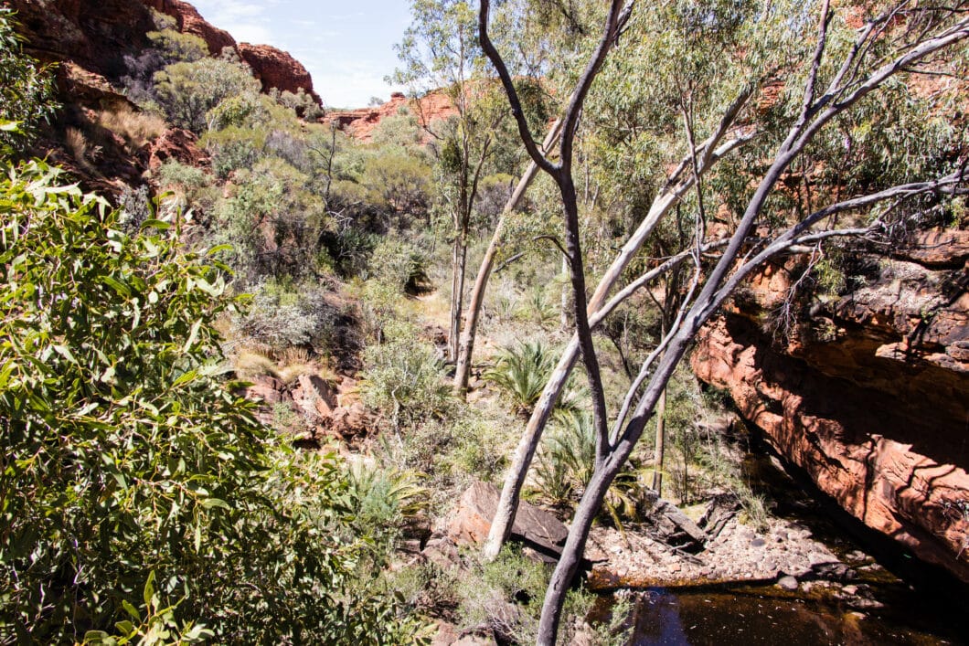 The Garden of Eden - Australia