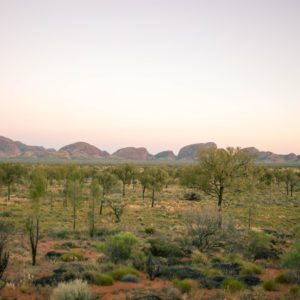 kata tjuta sunrise