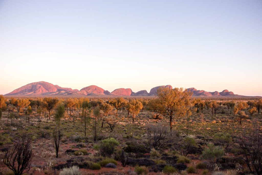 Kata Tjuta at dawn