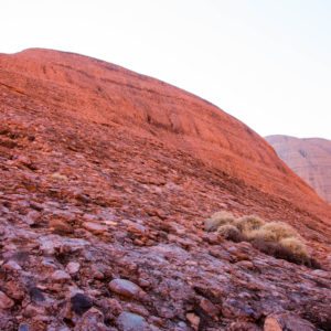 kata tjuta