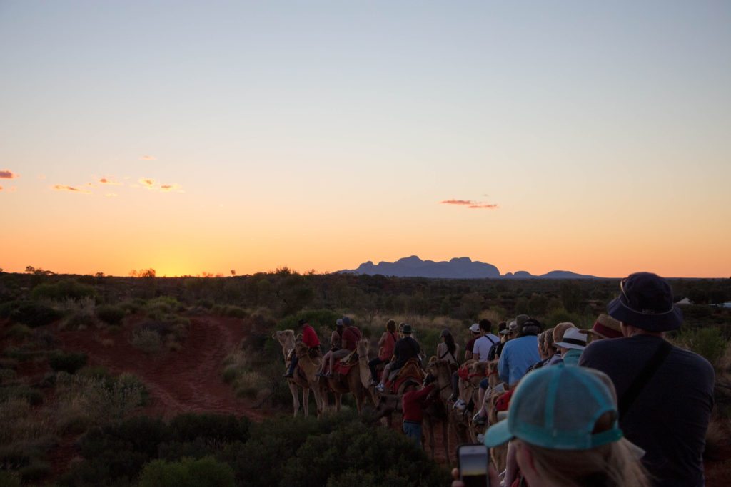 camel ride uluru