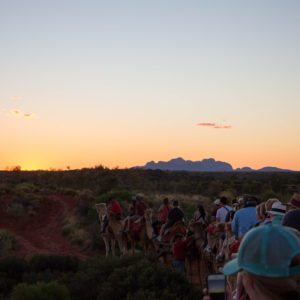 camel ride uluru