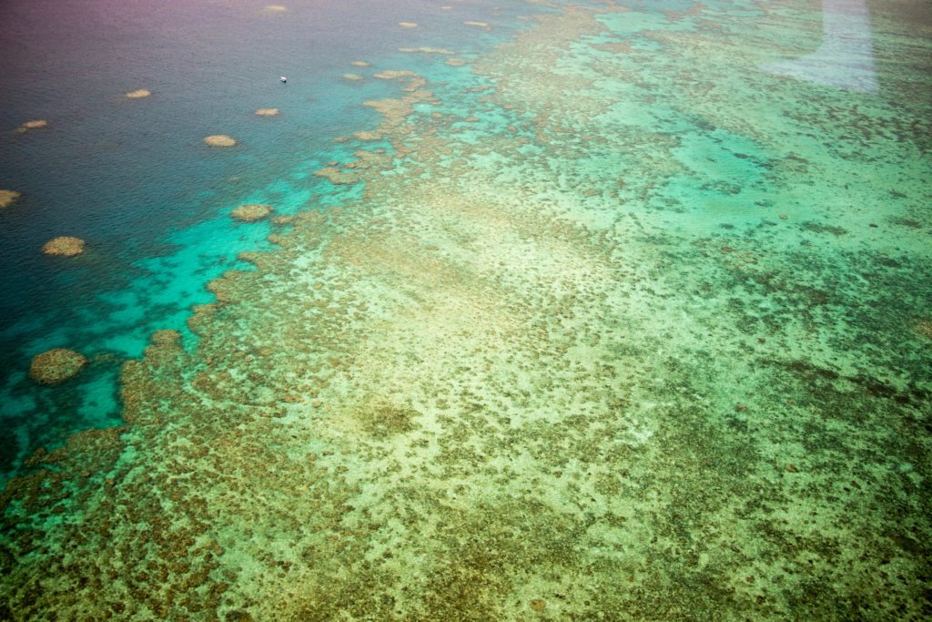 the great barrier reef from above