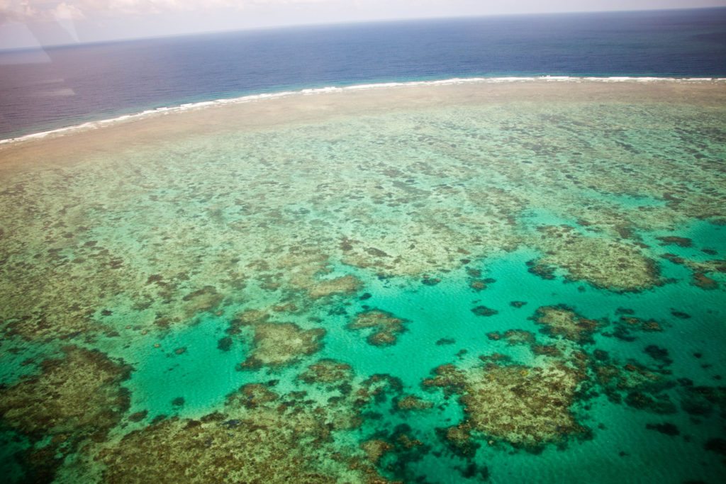 the great barrier reef from above