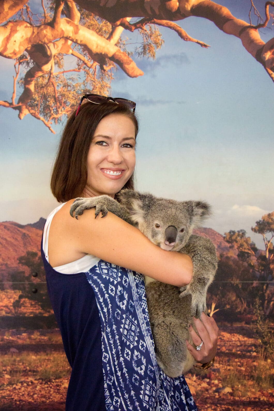 koala gardens