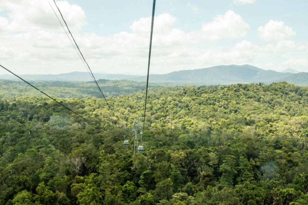 skyrail views