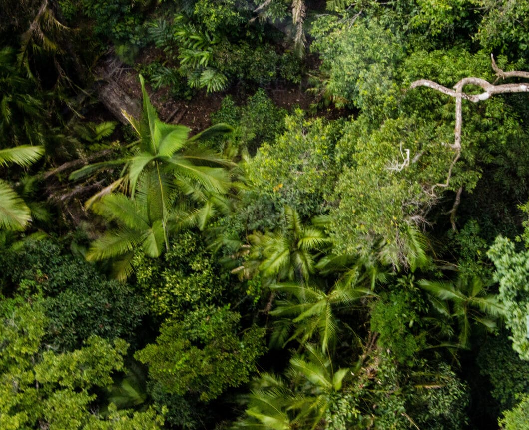 kuranda skyrail