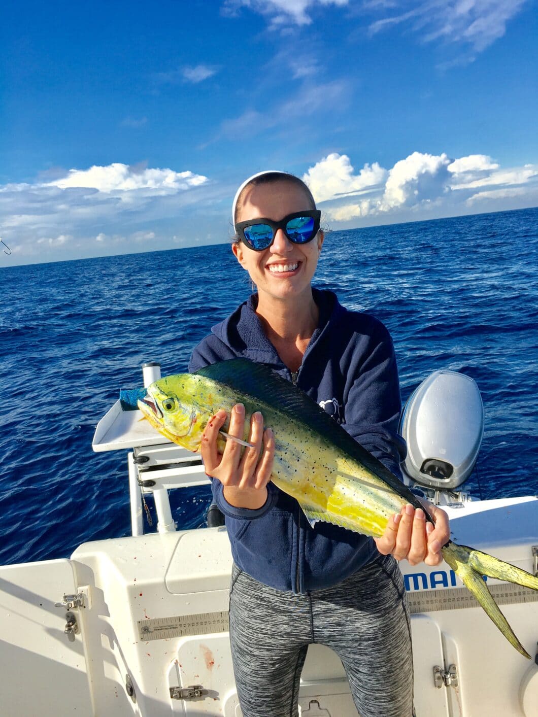 mahi-mahi