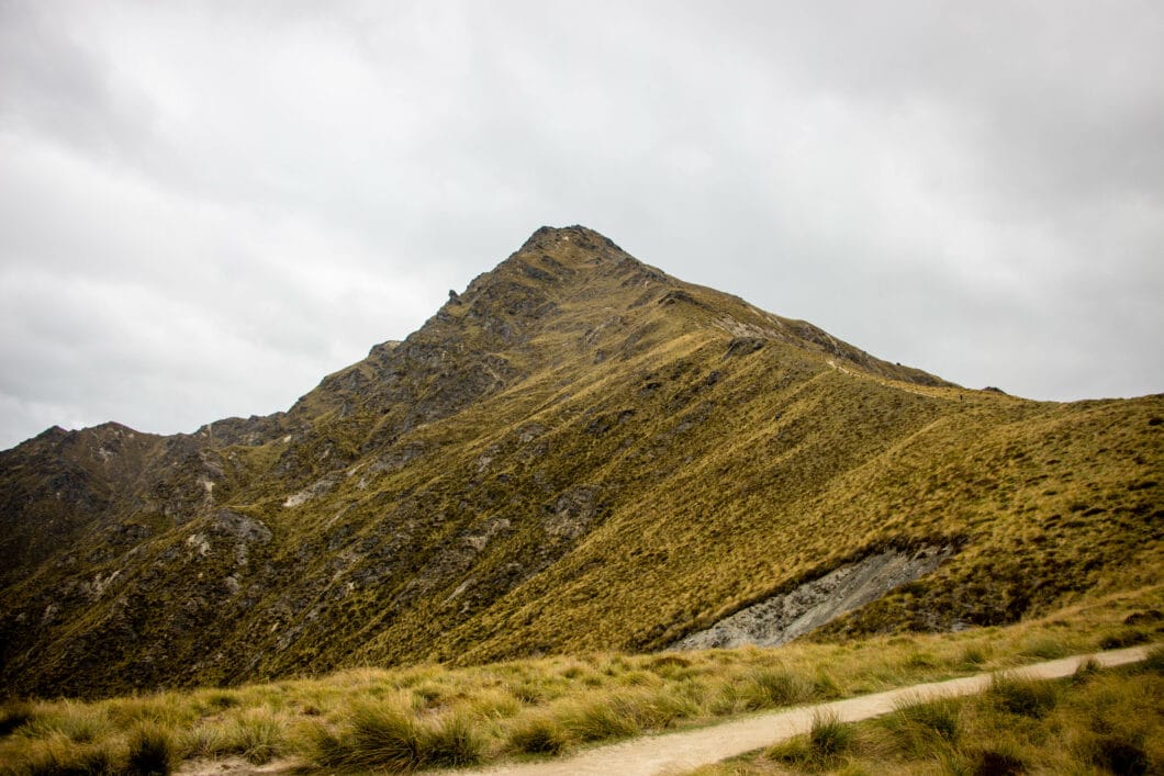 The Ben Lomond Summit