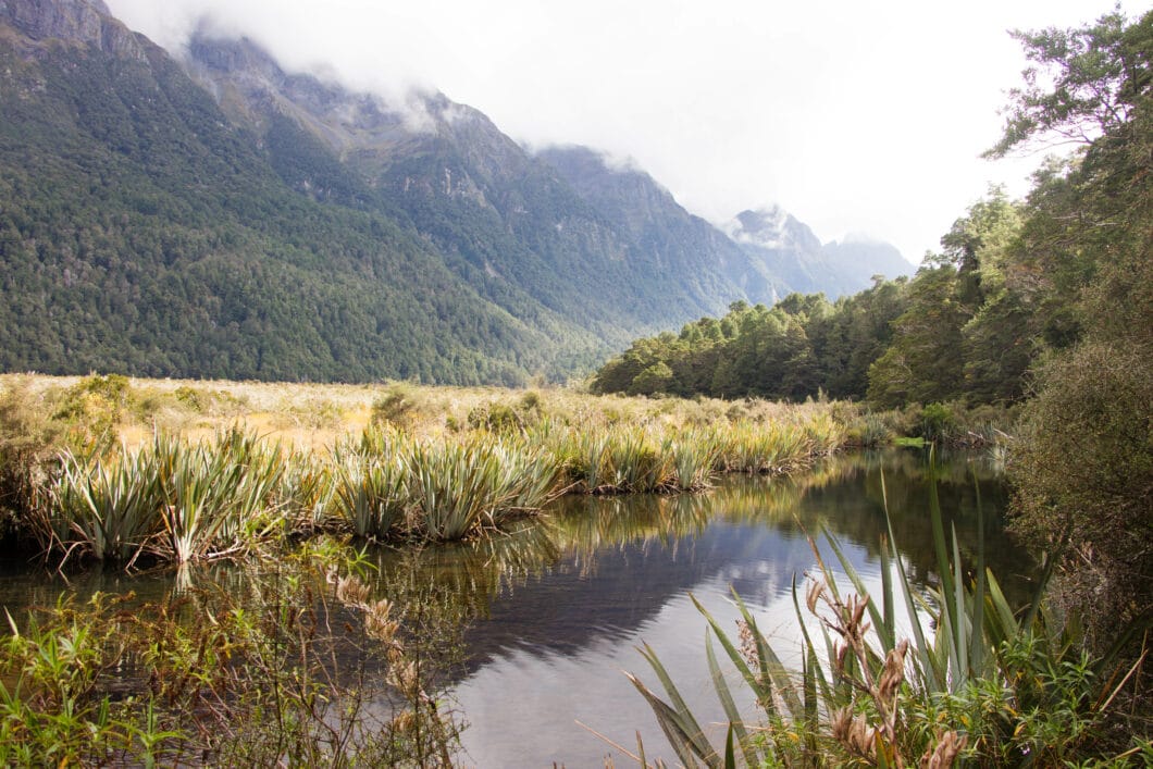 Fiordland National Park