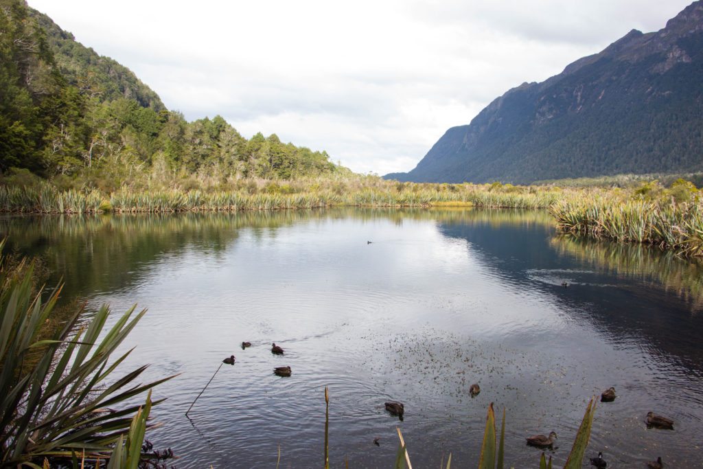 Fiordland National Park