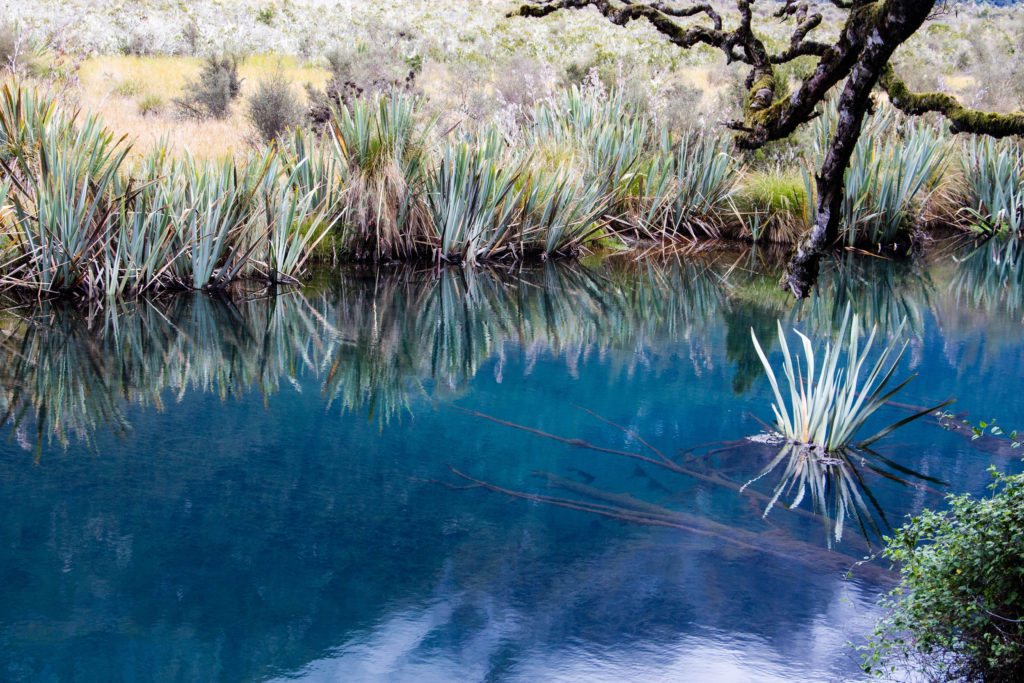 Fiordland National Park