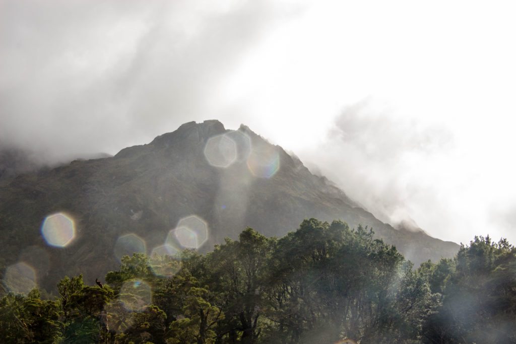 Fiordland National Park