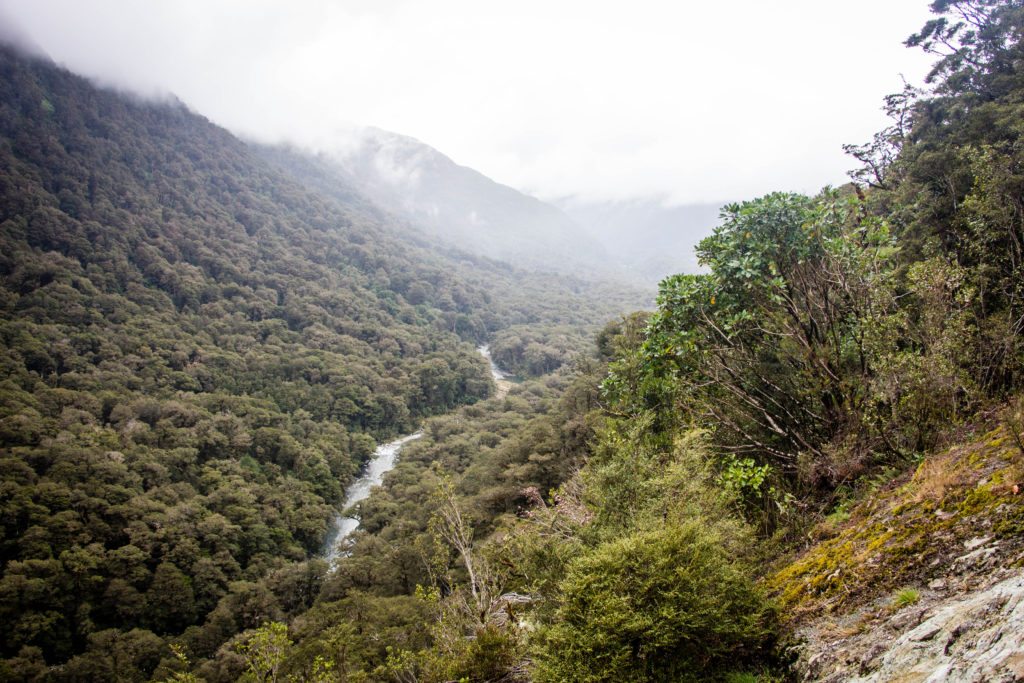 Fiordland National Park