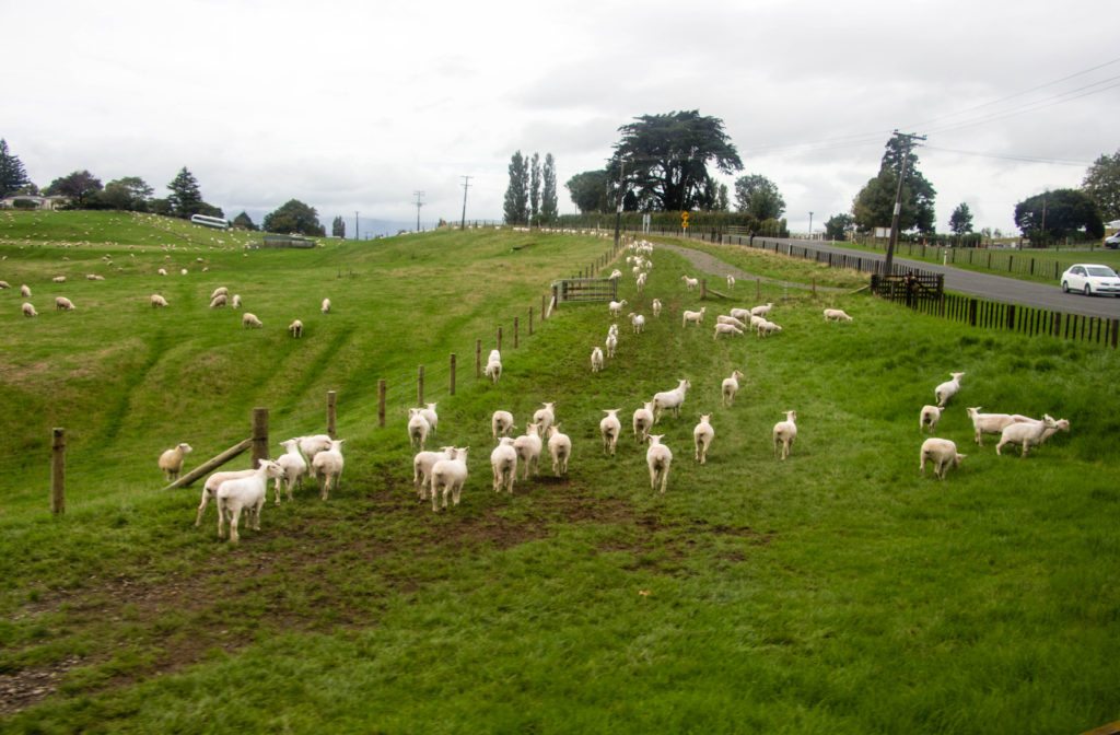 Hobbiton