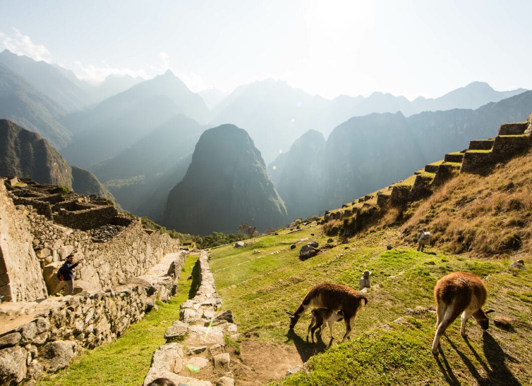 Machu Picchu