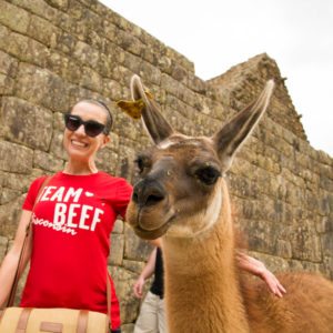 llamas machu picchu