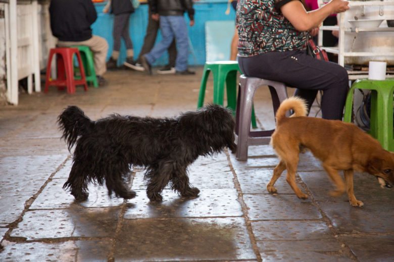 san pedro market